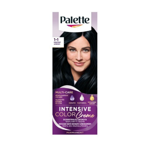 Palette Intensive Color Creme barva na vlasy Modročerný 1-1