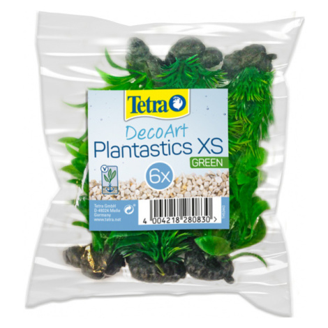 Rostlina Tetra Mix zelený XS (6ks)