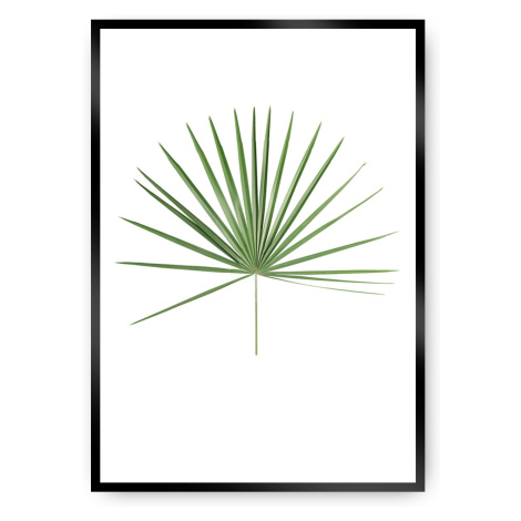 Dekoria Plakát Tropical Leaf Green, 40 x 50 cm, Vybrat rám: Černý
