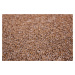 Condor Carpets AKCE: 63x509 cm Metrážový koberec Rambo-Bet 60 - neúčtujeme odřezky z role! - Bez
