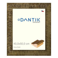 DANTIK rámeček 40 × 50, Dora Gold sklo čiré