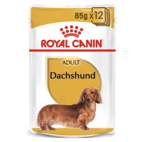 ROYAL CANIN Dachshund Adult kapsička pro jezevčíka 12× 85 g