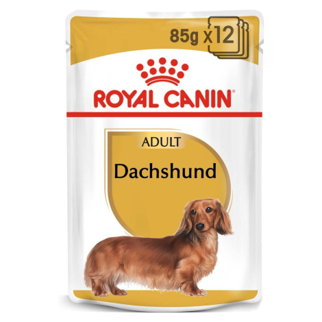 ROYAL CANIN Dachshund Adult kapsička pro jezevčíka 12× 85 g