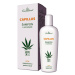 Cannaderm Capillus šampon S Kofeinem New 150ml