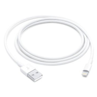 Apple Lightning to USB Cable (1m)