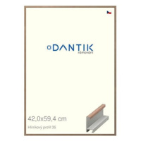 DANTIK rámeček 42 × 59,4, ALU profil 6035 Dýha ořech raw plexi čiré