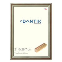 DANTIK rámeček 21 × 29,7, Y-ka červený linka sklo čiré