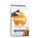 IAMS Cat Kitten Chicken 2kg