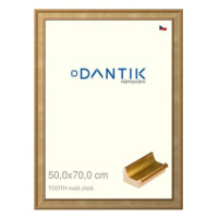 DANTIK rámeček 50 × 70, TOOTH malý zlatý plexi čiré