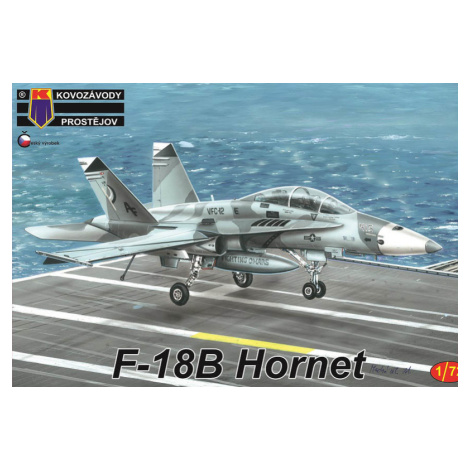 ZBYTKY - F-18B Hornet