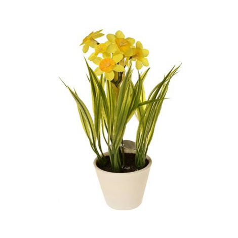 EverGreen Narcis v květináči , výška 22 cm, barva žlutá
