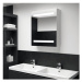 LED koupelnová zrcadlová skříňka 50 × 14 × 60 cm