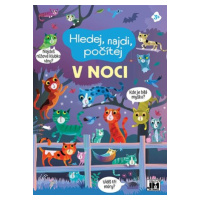 Hledej, najdi, počítej V noci