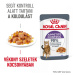 Royal Canin Appetite Control Care - vlhké krmivo pro kontrolu chuti k jídlu pro dospělé kočky 12