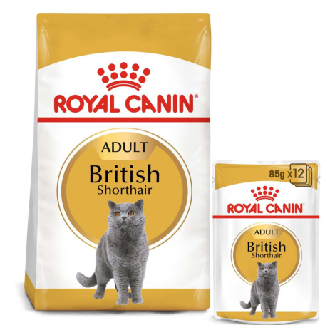 ROYAL CANIN ADULT British Shorthair 10 kg + kapsičky v omáčce 12× 85 g