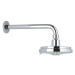 Sprchové raménko Grohe / 286 mm / chrom Varianta: ivi0