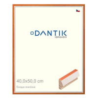 DANTIK rámeček 40 × 50, EVOQUE oranžový plexi čiré