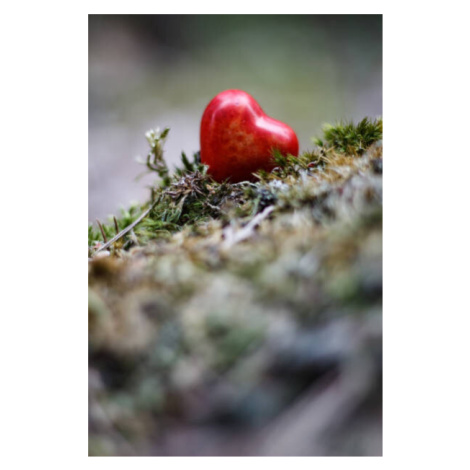 Fotografie Heart figure in the forest - love concept, sanzios85, 26.7 × 40 cm