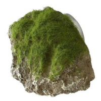 Ebi Aqua Della mechem zarostlý kámen s přísavkami S 12 × 9,5 × 10,5 cm