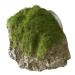 Ebi Aqua Della mechem zarostlý kámen s přísavkami S 12 × 9,5 × 10,5 cm