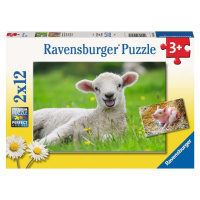 Ravensburger Puzzle Mláďata 2 x 12 dílků