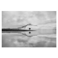 Fotografie Reflective trees on the lake, Thanh Thuy, 40 × 26.7 cm