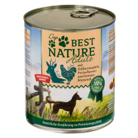 Best Nature Dog Adult 12×800 g – výhodné balení - zvěřina, kuřecí & nudle