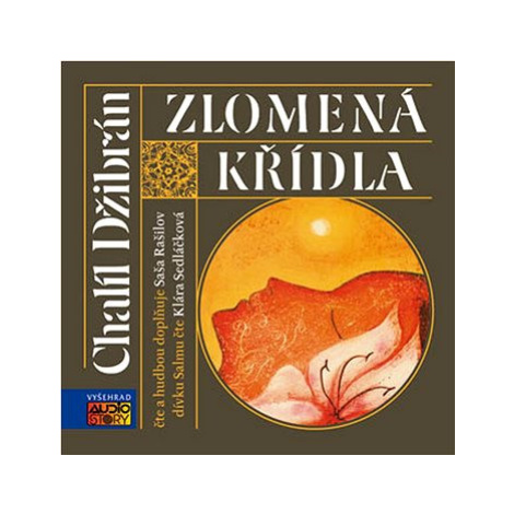 Zlomená křídla: 2 CD Audiostory