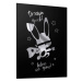 Černý plakát se zrcadlovou grafikou stříbrného ninja králíka