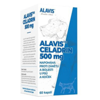 ALAVIS™ Celadrin 500 mg