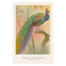 Ilustrace The Indian Peacock (Birds of the Tropics) - George Harris, 26.7 × 40 cm