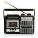 Ricatech PR85 80's Radio
