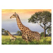 Dino žirafí rodina 1000 puzzle