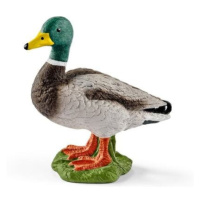 Schleich 13824 Kačer