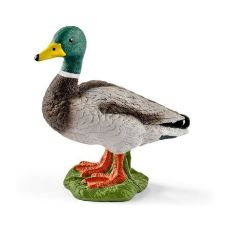 Schleich 13824 Kačer