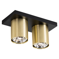 Moderní stropní bodové svítidlo černé se zlatým 2-světlem - Tubo