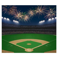Umělecká fotografie Baseball field and stadium with fireworks in sky., David Madison, (40 x 35 c