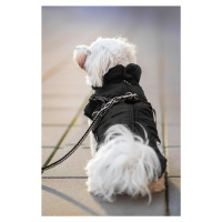 Vsepropejska Filip obleček pro psa na zip Barva: Černá, Délka zad (cm): 36, Obvod hrudníku: 46 -