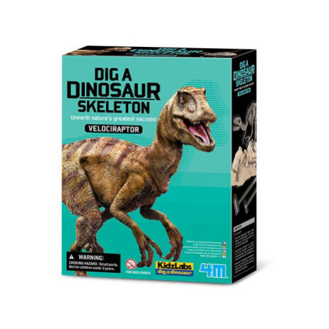 Vykopávka Velociraptora se skládací kostrou 4M toys