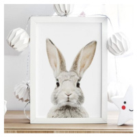 Bílý plakát s motivem králíka