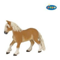 Poník Haflinger