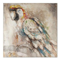Ručně malovaný obraz Parrot (100x100 cm)