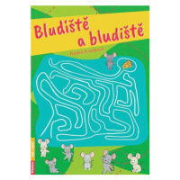 Bludiště a bludiště - Radka Kneblová