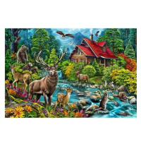 Cobble Hill Puzzle Chata s červenou střechou, 2000 dílků