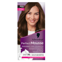 Schwarzkopf Perfect Mousse barva na vlasy Oříšek 668 (6-68)