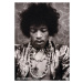 Plakát, Obraz - Jimi Hendrix - Hollywood 1967, (59.4 x 84.1 cm)