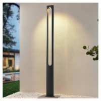 Lucande Lucande Dovino LED stožárové svítidlo, 200 cm