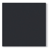 PAW - Ubrousky AIRLAID L 40x40cm Unicolor Black