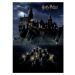 Dětská fototapeta Harry Potter Hogwarts Night 182 x 252 cm, 4 díly