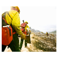 Fotografie Forest firefighters walking with pickaxes, rear, Tyler Stableford, 40 × 35 cm